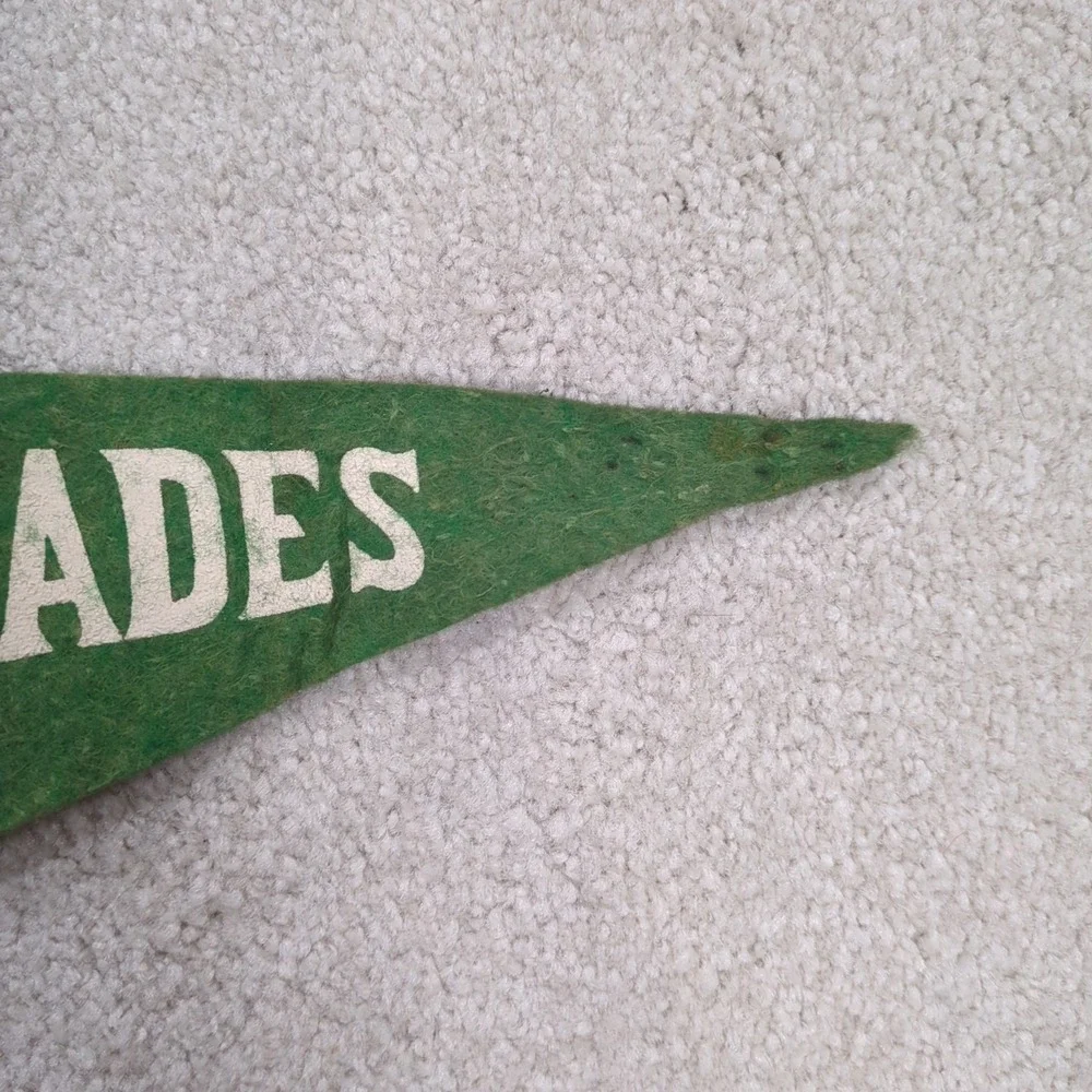 2 The Cascades Jackson Michigan MI Felt Pennant Vintage Travel Souvenir 40s 50s